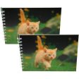 KITTEN ON A MISSION - Two (2) Notebooks with 3D Lenticular Covers - Lined Pages - NEW Discount