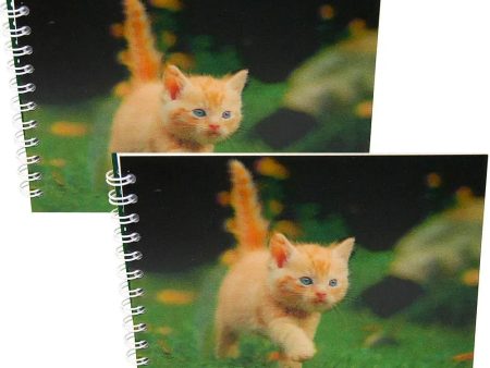 KITTEN ON A MISSION - Two (2) Notebooks with 3D Lenticular Covers - Lined Pages - NEW Discount