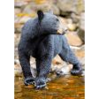 American Black Bear - 3D Lenticular Postcard Greeting Cardd - NEW Fashion