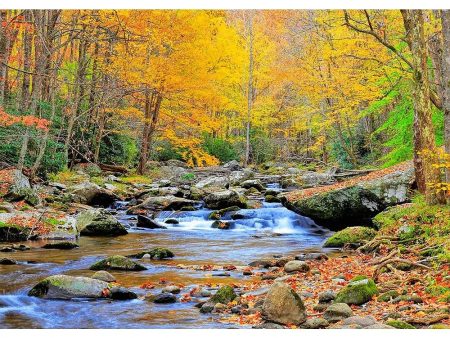 Appalachian River in Autumn - 3D Lenticular Postcard Greeting Card - NEW on Sale