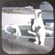 Portland Zoo - View-Master 3 Reel Packet - vintage - A252-S5 Online now