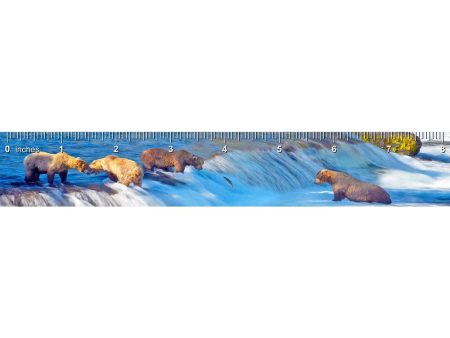 Grizzly Bears Fishing - 3D Lenticular Bookmark Ruler- NEW Online