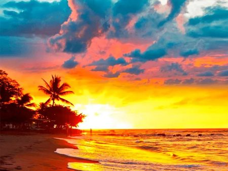 Beautiful Tropical Sunset- 3D Lenticular Maxi-Postcard Greeting Card - NEW Cheap