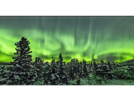 AURORA BOREALIS #12 - 3D Lenticular Oversize-Postcard Greeting Card - NEW on Sale