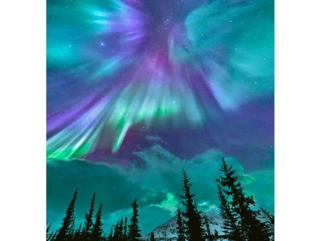 Aurora Borealis #14 - 3D Lenticular Postcard Greeting Card - NEW Online