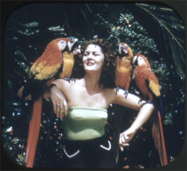 Parrot Jungle - Miami, Florida - View-Master 3 Reel Packet - 1950s views - vintage - (PARROT-S3) Online