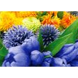 Flowers- 3D Lenticular Postcard Greeting Card - NEW Sale