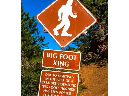 BIGFOOT - 2 Image 3D Magnet for Refrigerator, Whiteboard, Locker Online Hot Sale