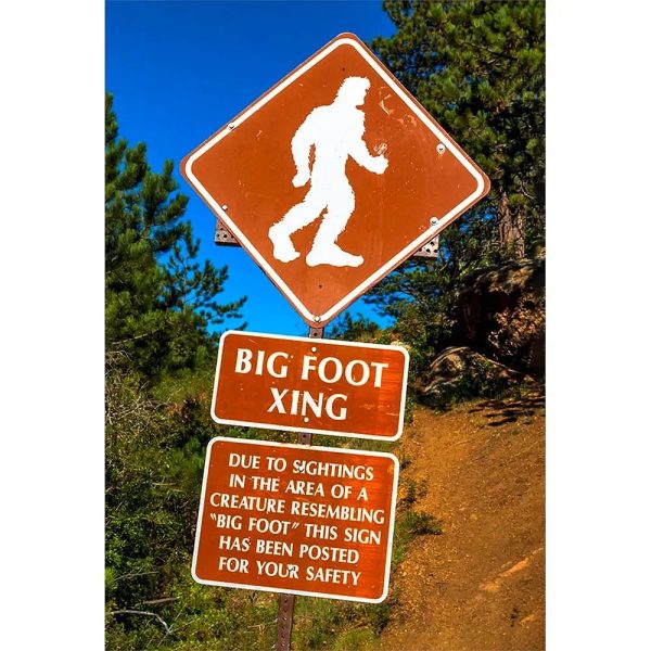 BIGFOOT - 2 Image 3D Magnet for Refrigerator, Whiteboard, Locker Online Hot Sale