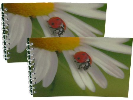 LADYBUG ON DAISY - Two (2) Notebooks with 3D Lenticular Covers - Graph Lined Pages - NEW Hot on Sale