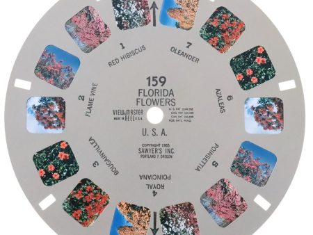 Florida - Flowers - U.S.A. - View-Master Single Reel - 1955 - vintage - 159 Supply