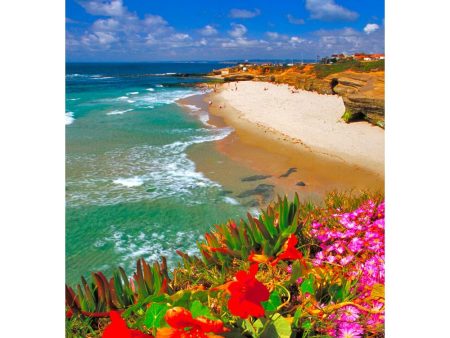 Wipeout Beach, La Jolla, California - 3D Lenticular Postcard Greeting Card - NEW Supply