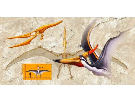 Anatomy of a Pteranodon - 3D Lenticular Oversize-Postcard Greeting Card - NEW Online Sale