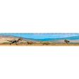 Ankylosaurs and Tyrannosaurus Rex - 3D Lenticular Bookmark Ruler - NEW Fashion