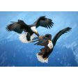 Bald Eagles in Mid-Air - 3D Lenticular Postcard Greeting Card Hot on Sale