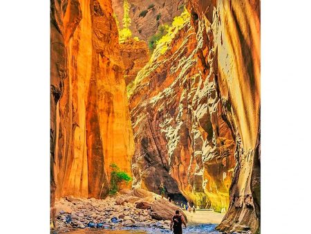 NARROWS, ZION PARK - 3D Magnet for Refrigerator, Whiteboard, Locker Supply