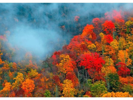 Appalachian Mountains - 3D Action Lenticular Postcard Greeting Card - NEW For Cheap