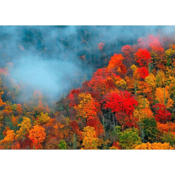 Appalachian Mountains - 3D Action Lenticular Postcard Greeting Card - NEW For Cheap