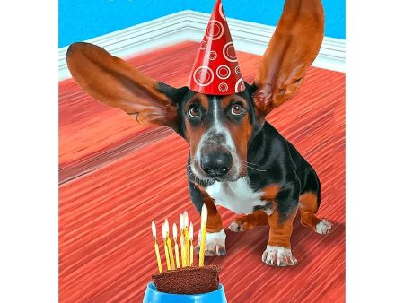 Happy Birthday Basset Hound Dog - 3D Lenticular Postcard Greeting Card- NEW Online Hot Sale