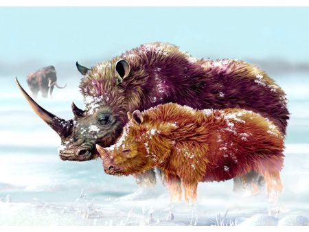 Woolly Rhinoceros and cub - 3D Lenticular Postcard Greeting Card - NEW For Cheap