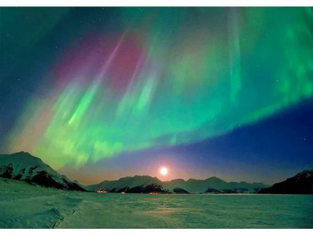 AURORA BOREALIS #2  - 3D Action Lenticular Postcard Greeting Card - NEW Fashion