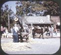 Ozark Mountains - View-Master 3 Reel Packet - vintage - ECO-A449-G3A Online