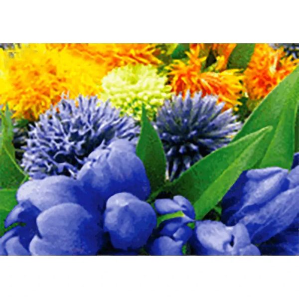 Flowers- 3D Lenticular Postcard Greeting Card - NEW Sale