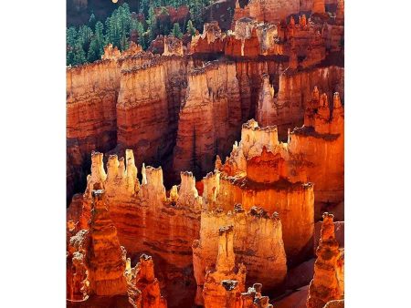 BRYCE CANYON NATIONAL PARK 2 - 3D Magnet for Refrigerator, Whiteboard, Locker on Sale