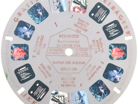 DRE-8-DN - Billeder Fra Natur Og Kultur - View-Master Demonstration Reel - vintage - Sale