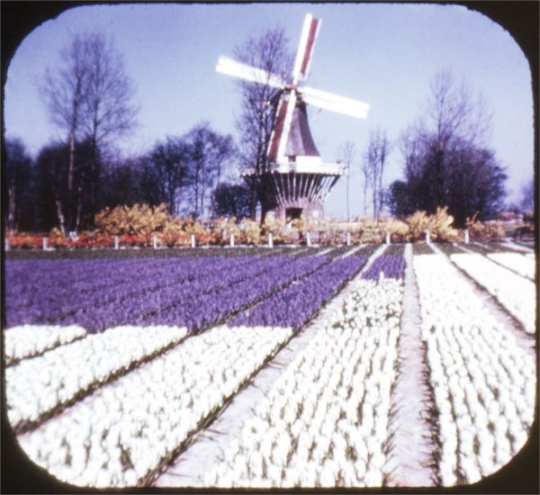 Tulip Time in Holland - View-Master 3 Reel Packet - vintage - C385-S6B Online Sale