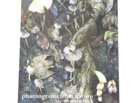 Phantograms from Nature, Western USA - by Rothstein - NEW - 2005 Online