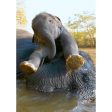 Asian Elephant and Calf Bathing - 3D Lenticular Postcard Greeting Cardd - NEW Online Sale