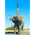 African Elephant Mudbathing - 3D Lenticular Postcard Greeting Cardd - NEW Online