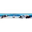 Panda Family - 3D Lenticular Bookmark Ruler -NEW Hot on Sale