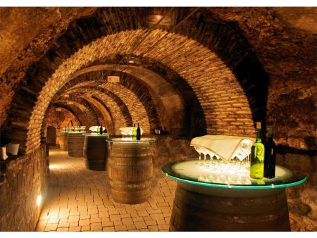 Wine Cellar - 3D Lenticular Postcard Greeting Card - NEW Fashion