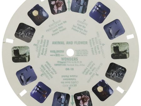 DR-18 - Animal and Flower Wonders - View-Master Single Reel - vintage - (DR-18) Online now