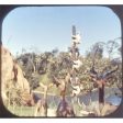 Adventureland - View-Master Walt Disney World - 3 Reel Set on Card - vintage - 3019 Supply