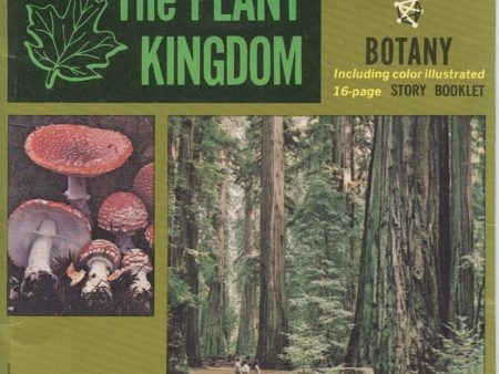 The Plant Kingdom - Botany - View-Master 3 Reel Packet - vintage - (B680-G1A) Online