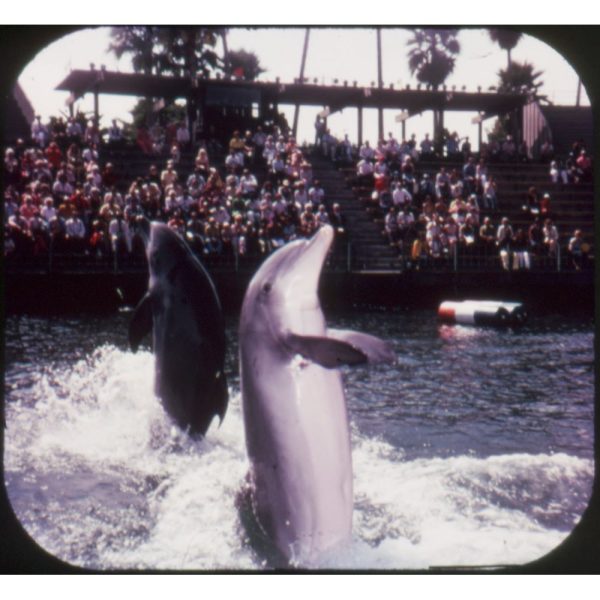 Sea World - View-Master 3 Reel Packet - 1976 - vintage - A208-G5B Discount