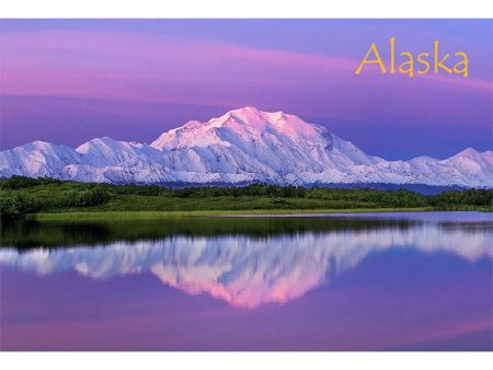 DENALI - ALASKA - 3D Magnet for Refrigerator, Whiteboard, Locker on Sale