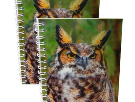 GREAT HORNED OWL - Two (2) Notebooks with 3D Lenticular Covers - Unlined Pages - NEW Online Hot Sale