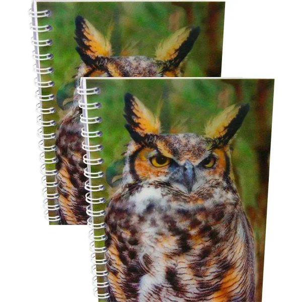 GREAT HORNED OWL - Two (2) Notebooks with 3D Lenticular Covers - Unlined Pages - NEW Online Hot Sale