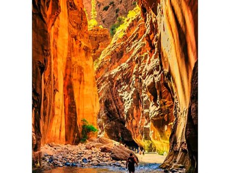 Zion Canyon and The Narrows - 3D Lenticular Postcard Greeting Card - NEW on Sale