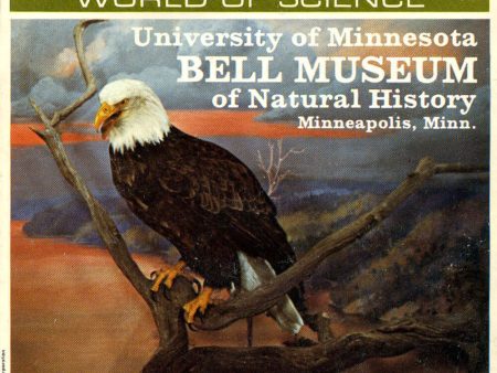 University Of Minnesota Bell Museum of Natural History -  View-Master - vintage - 3 Reel Packet - 1970s  - A513-G3A For Discount