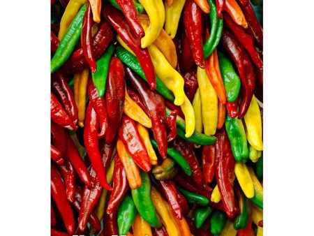 CHILE PEPPERS - 2 Image 3D Magnet for Refrigerator, Whiteboard, Locker Online