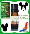 Enchanted Tiki Room Fragrance Oil Magic Kingdom Diffuser Oil Disney Fragrance Supply