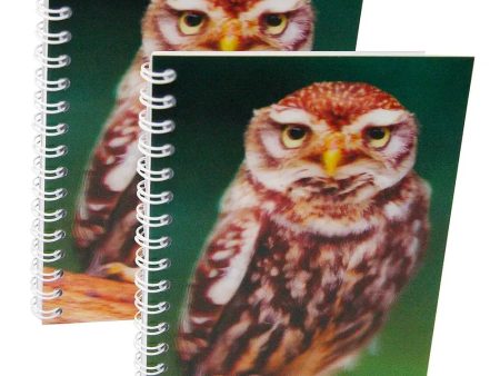 LITTLE OWL - Two (2) Notebooks with 3D Lenticular Covers - Unlined Pages - NEW Supply