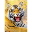 Bengal Tiger roaring - 3D Lenticular Postcard Greeting Card - NEW Online Hot Sale