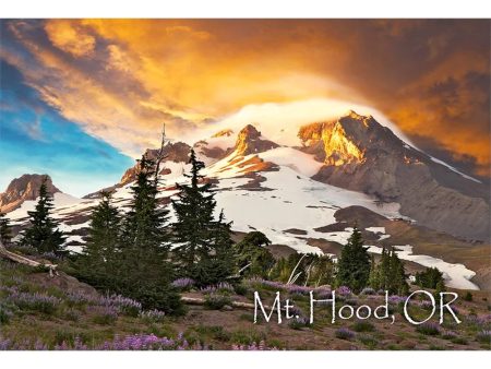 MOUNT HOOD - 2 Image 3D Magnet for Refrigerators, Whiteboards, and Lockers - NEW For Cheap