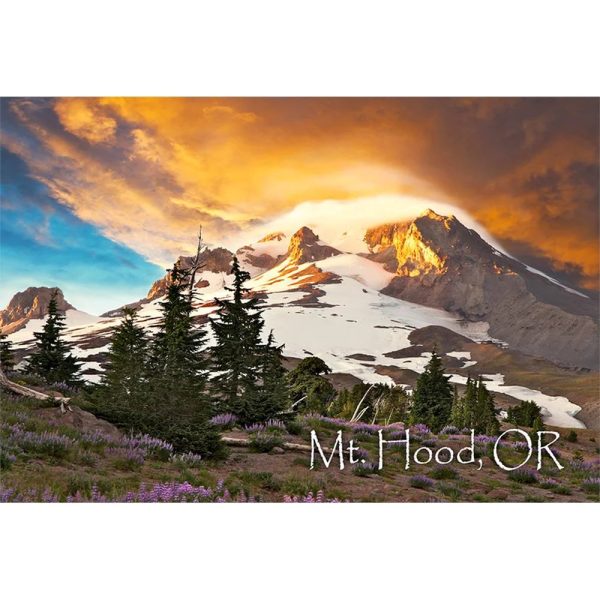 MOUNT HOOD - 2 Image 3D Magnet for Refrigerators, Whiteboards, and Lockers - NEW For Cheap